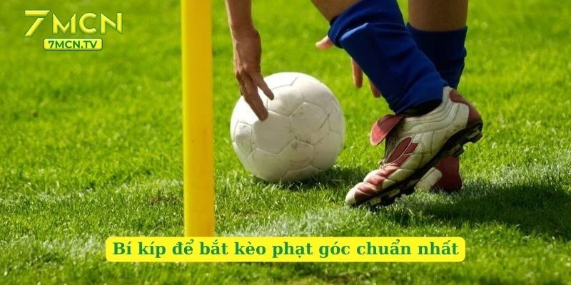 Bí kíp để bắt kèo phạt góc chuẩn nhất