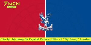 Câu lạc bộ bóng đá Crystal Palace: Hiểu về "Đại bàng" London